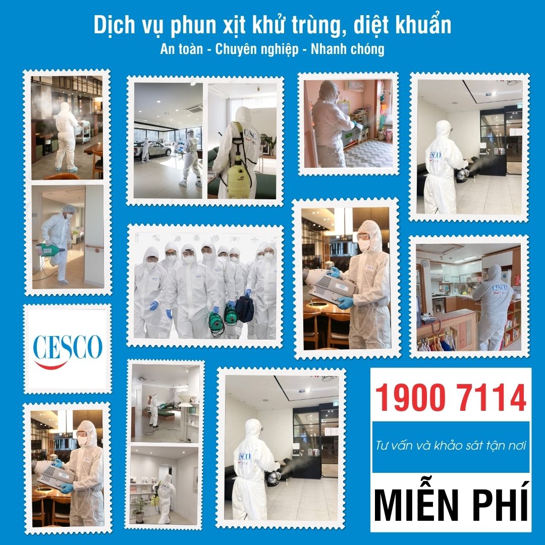 Dịch vụ phun khử trùng